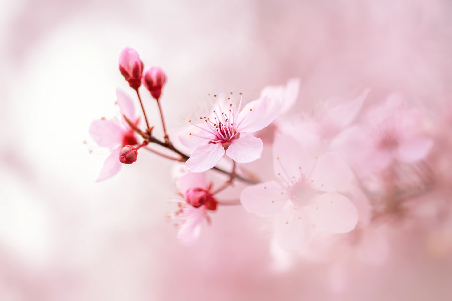 IMG_0072-Modifier_1920px