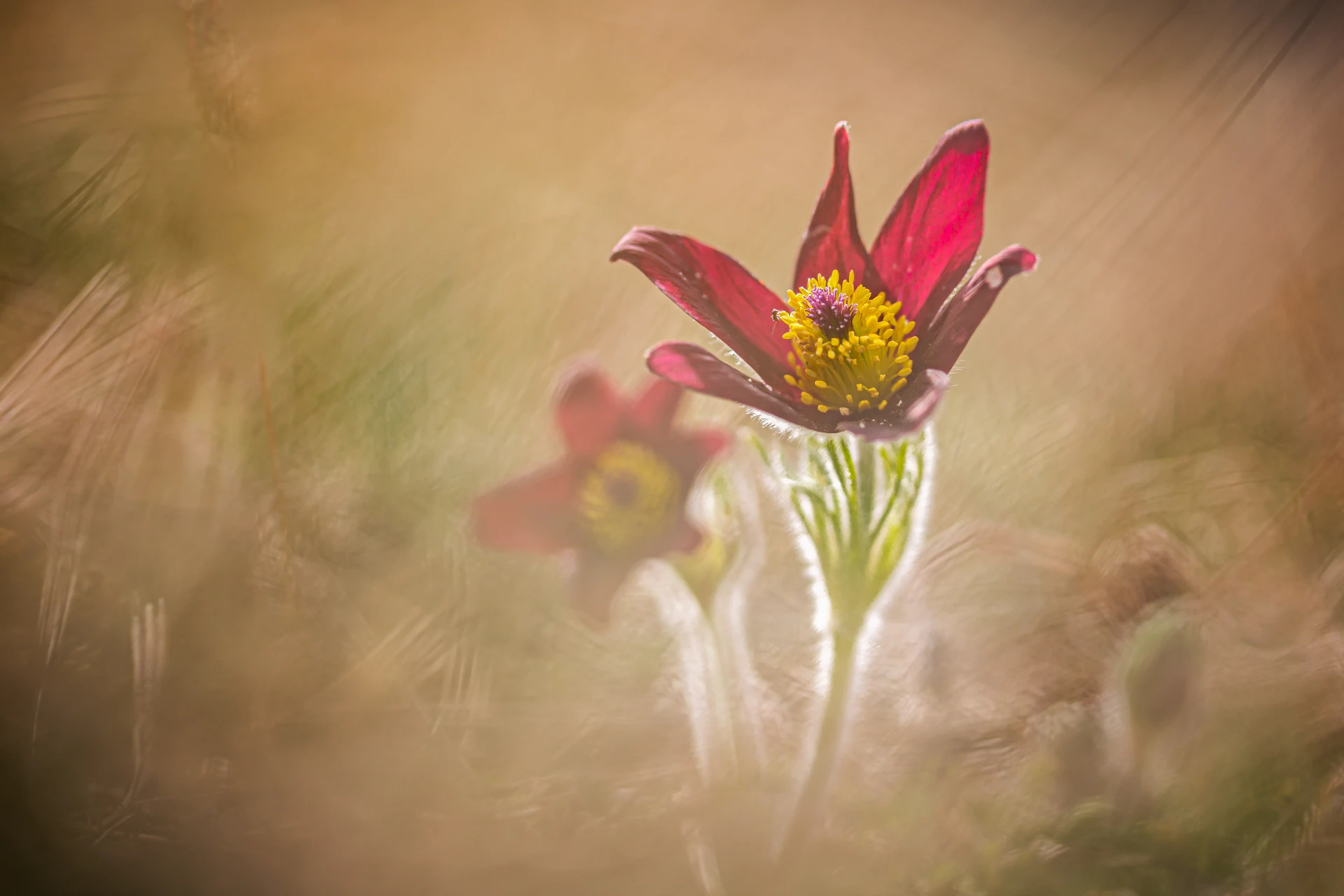 IMG_0091-Modifier-2_1920px