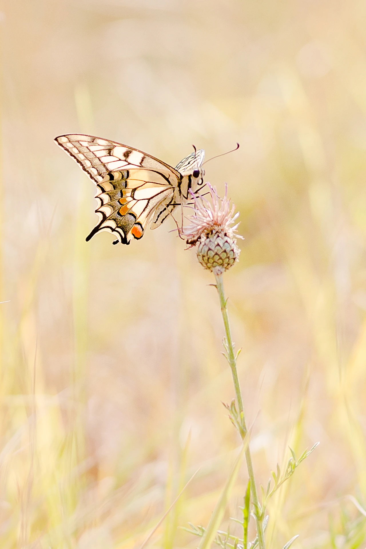 IMG_0306-Modifier-2_1920px