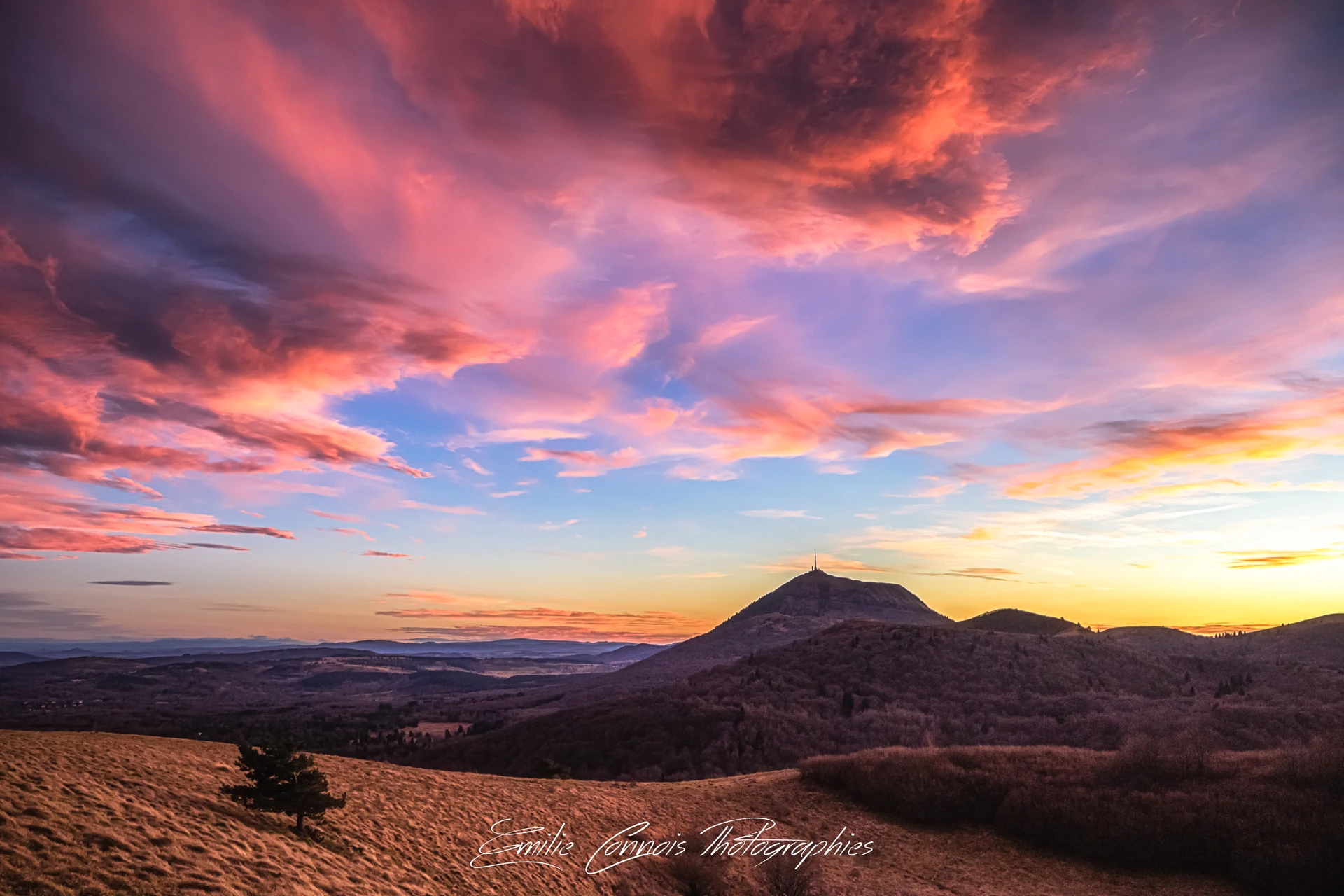 IMG_0555-Modifier_1920px