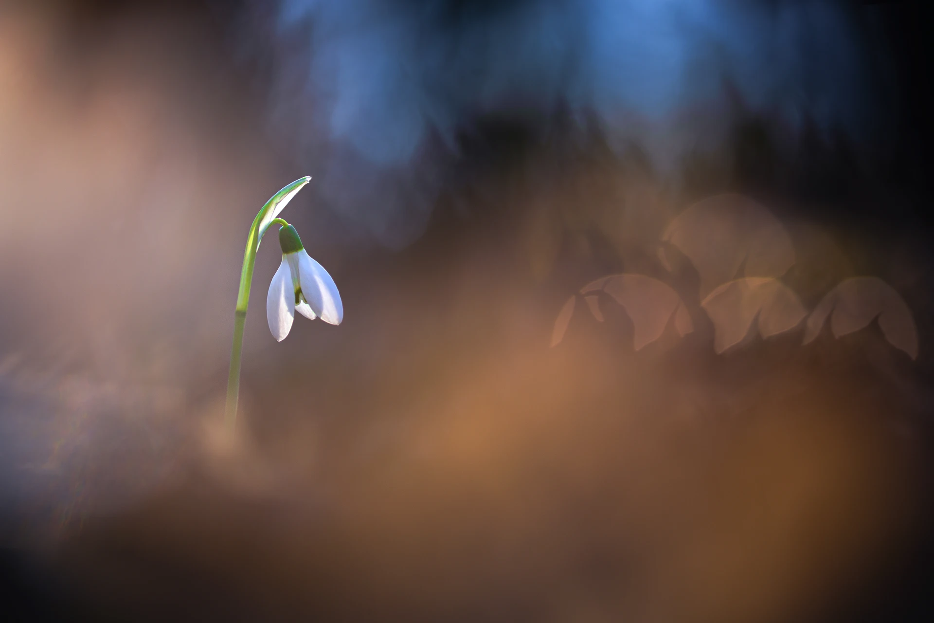 IMG_9544-Modifier-2_1920px