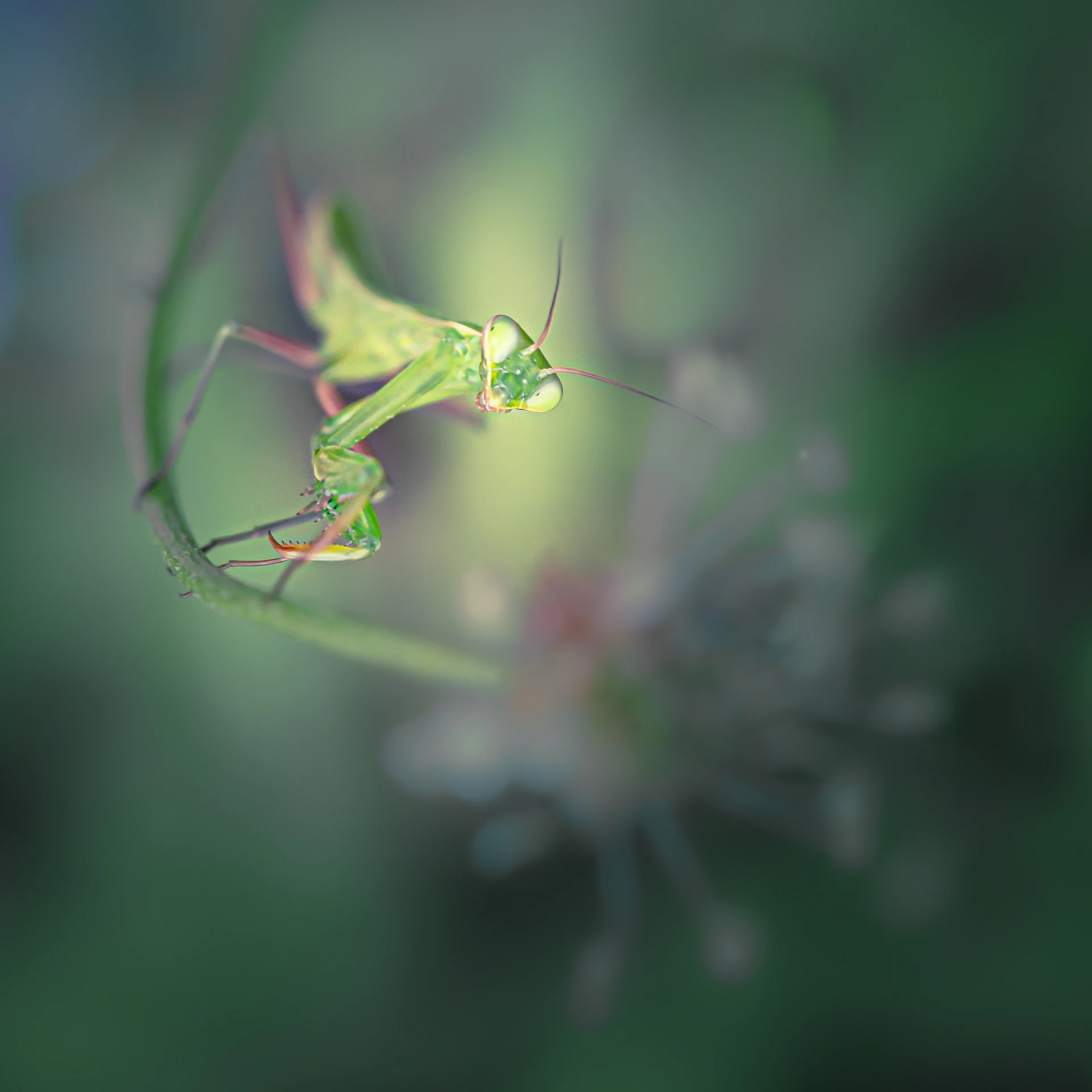 IMG_9600-Modifier_1920px