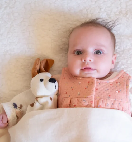 Header_FondDePage_IMG_2940