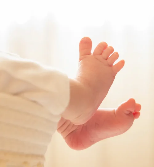 Header_FondDePage_IMG_5825