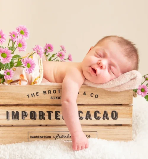 Header_FondDePage_IMG_5921-2